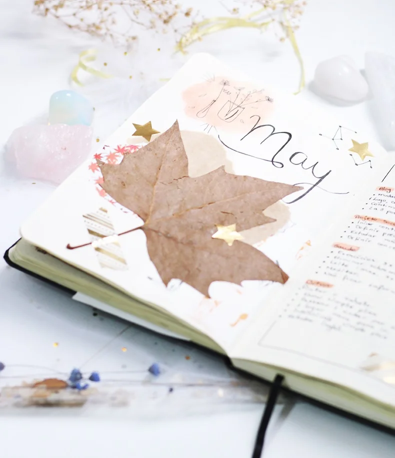 Deixe a criatividade fluir e se espalhar em seu BuJo - layouts temáticos minimalistas - layouts temáticos